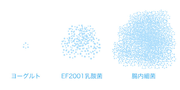 菌数イメージ